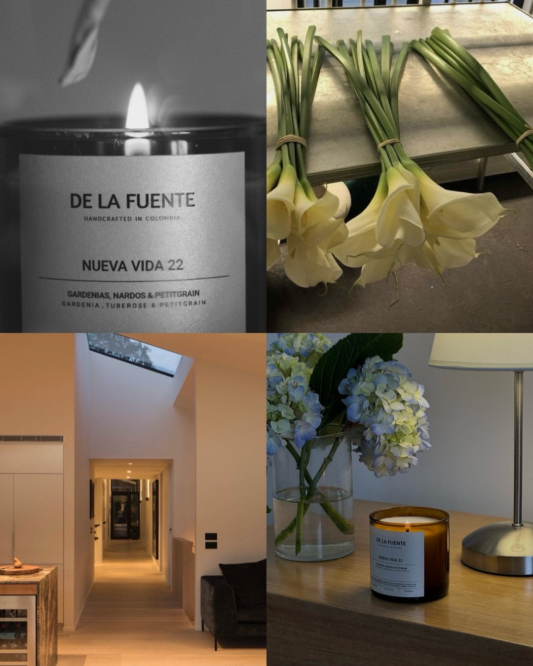 NUEVA VIDA 22 – Big DLF Candle.